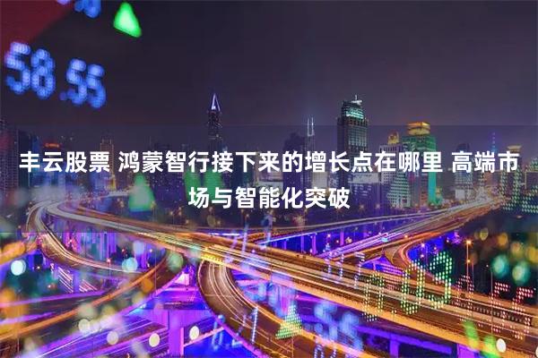 丰云股票 鸿蒙智行接下来的增长点在哪里 高端市场与智能化突破